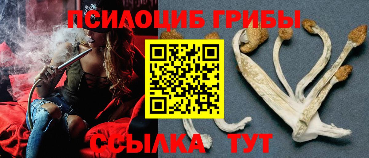 Псилоцибиновые грибы мицелий  Вход с VPN  Октябрьский 